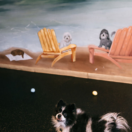 A dog stands next to a mural of dogs